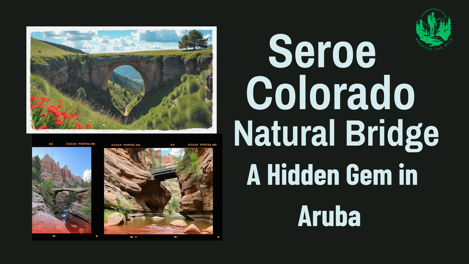 Seroe Colorado Natural Bridge: A Hidden Gem in Aruba