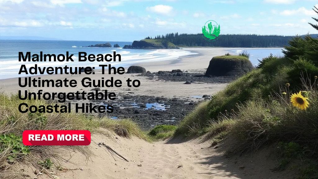 Malmok Beach Adventure: The Ultimate Guide to Unforgettable Coastal Hikes