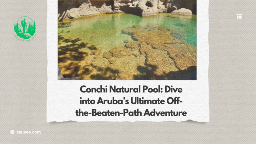 Conchi Natural Pool: Dive into Aruba’s Ultimate Off-the-Beaten-Path Adventure