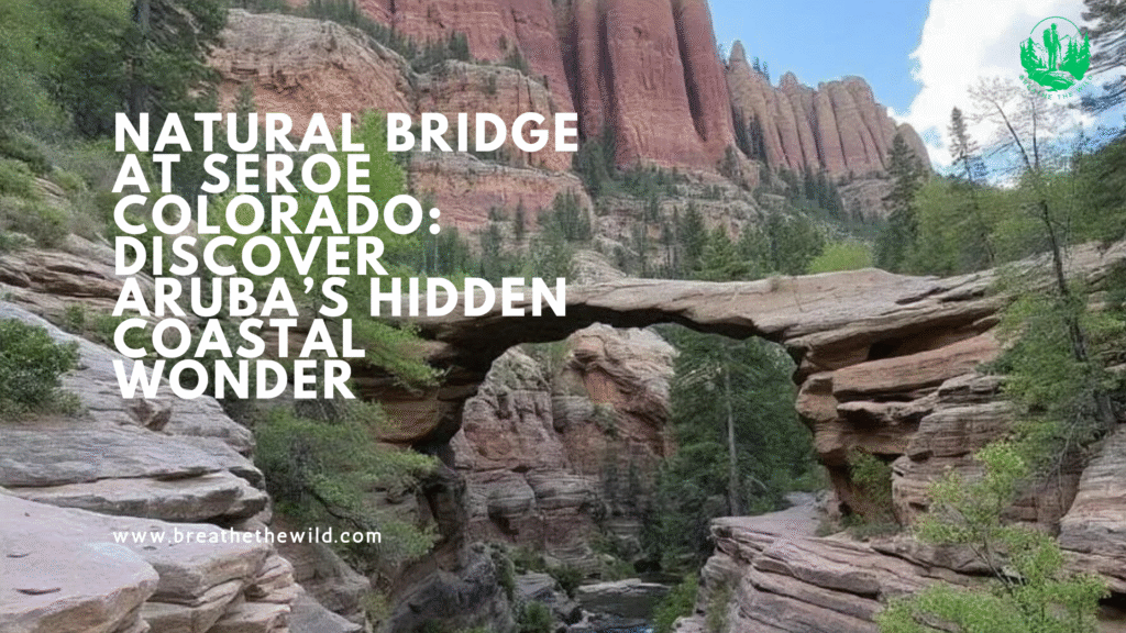 Natural Bridge at Seroe Colorado: Discover Aruba’s Hidden Coastal Wonder