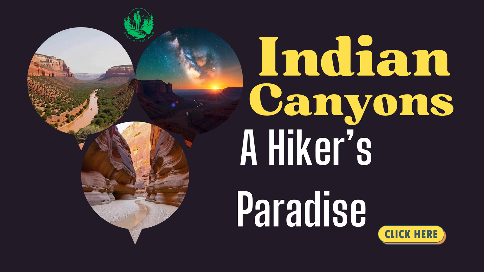 Indian Canyons: A Hiker’s Paradise