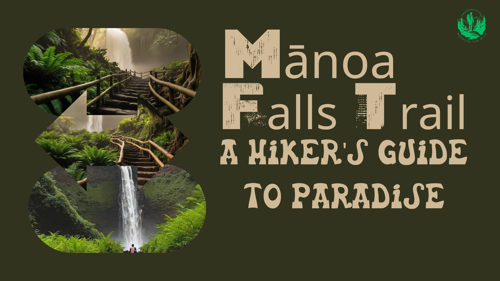 Mānoa Falls Trail: A Hiker’s Guide to Paradise