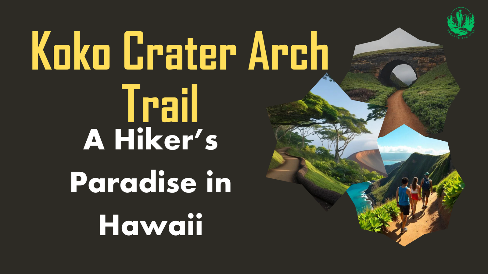 Koko Crater Arch Trail: A Hiker’s Paradise in Hawaii