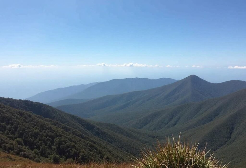 8 mount kerinci HIKE 1