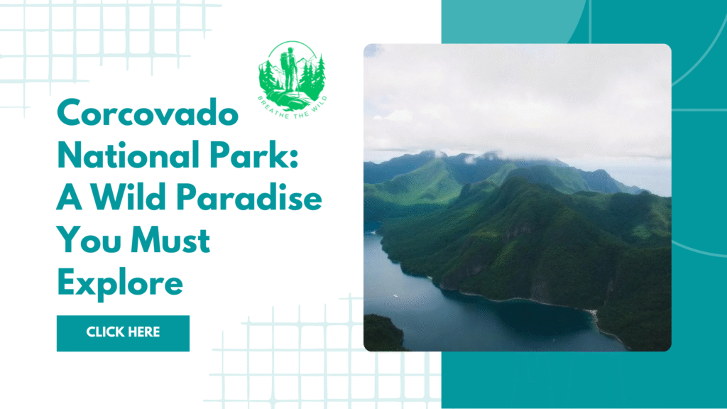 Corcovado National Park: A Wild Paradise You Must Explore