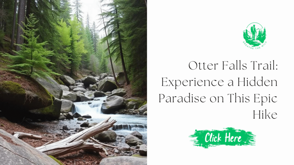 Otter Falls Trail: Experience a Hidden Paradise on This Epic Hike