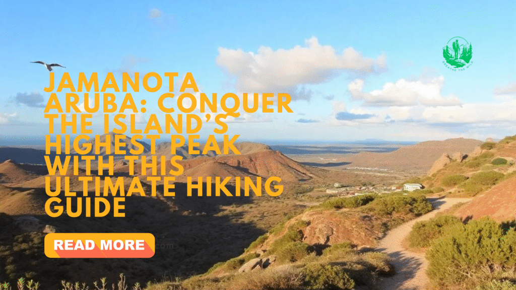 Jamanota Aruba: Conquer the Island’s Highest Peak with This Ultimate Hiking Guide