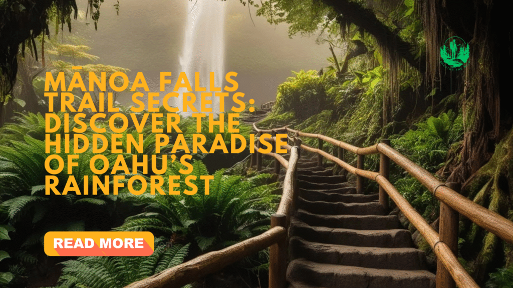 Mānoa Falls Trail Secrets: Discover the Hidden Paradise of Oahu’s Rainforest