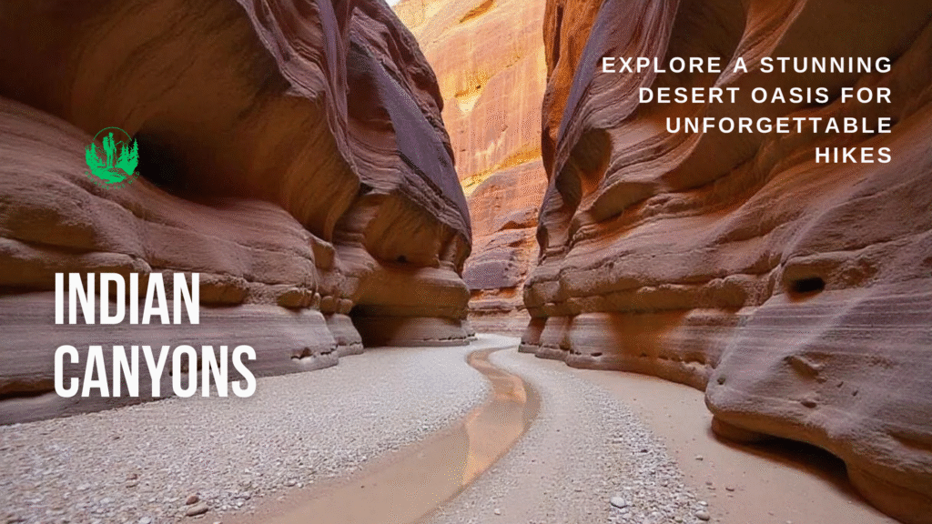 Indian Canyons: Explore a Stunning Desert Oasis for Unforgettable Hikes