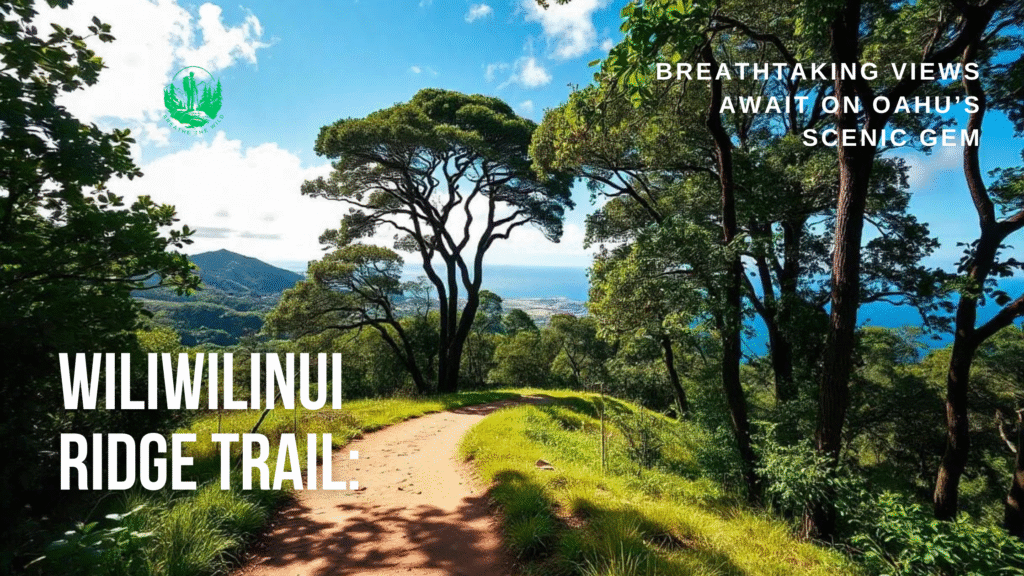 Wiliwilinui Ridge Trail: Breathtaking Views Await on Oahu’s Scenic Gem