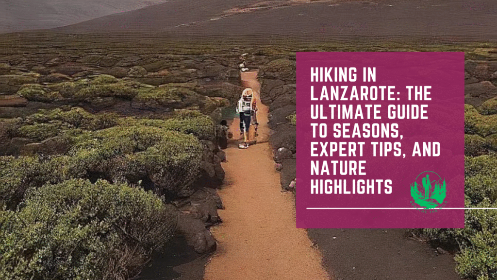 Hiking in Lanzarote: The Ultimate Guide to Seasons, Expert Tips, and Nature Highlights