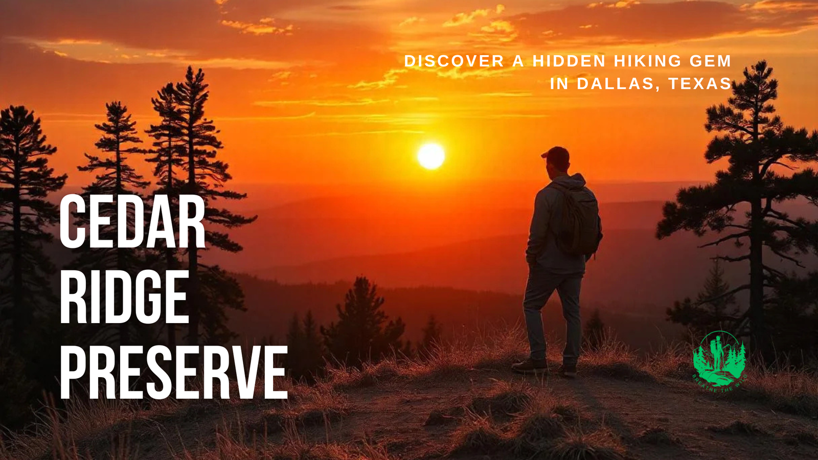 Cedar Ridge Preserve: Discover a Hidden Hiking Gem in Dallas, Texas